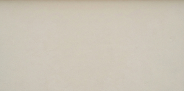 外壁塗装・屋根塗装・サイディング張り替え