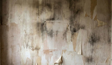 壁紙の汚れ・剥がれ