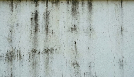 外壁の汚れ・ヒビ割れ