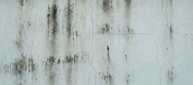 外壁の汚れ・ヒビ割れ