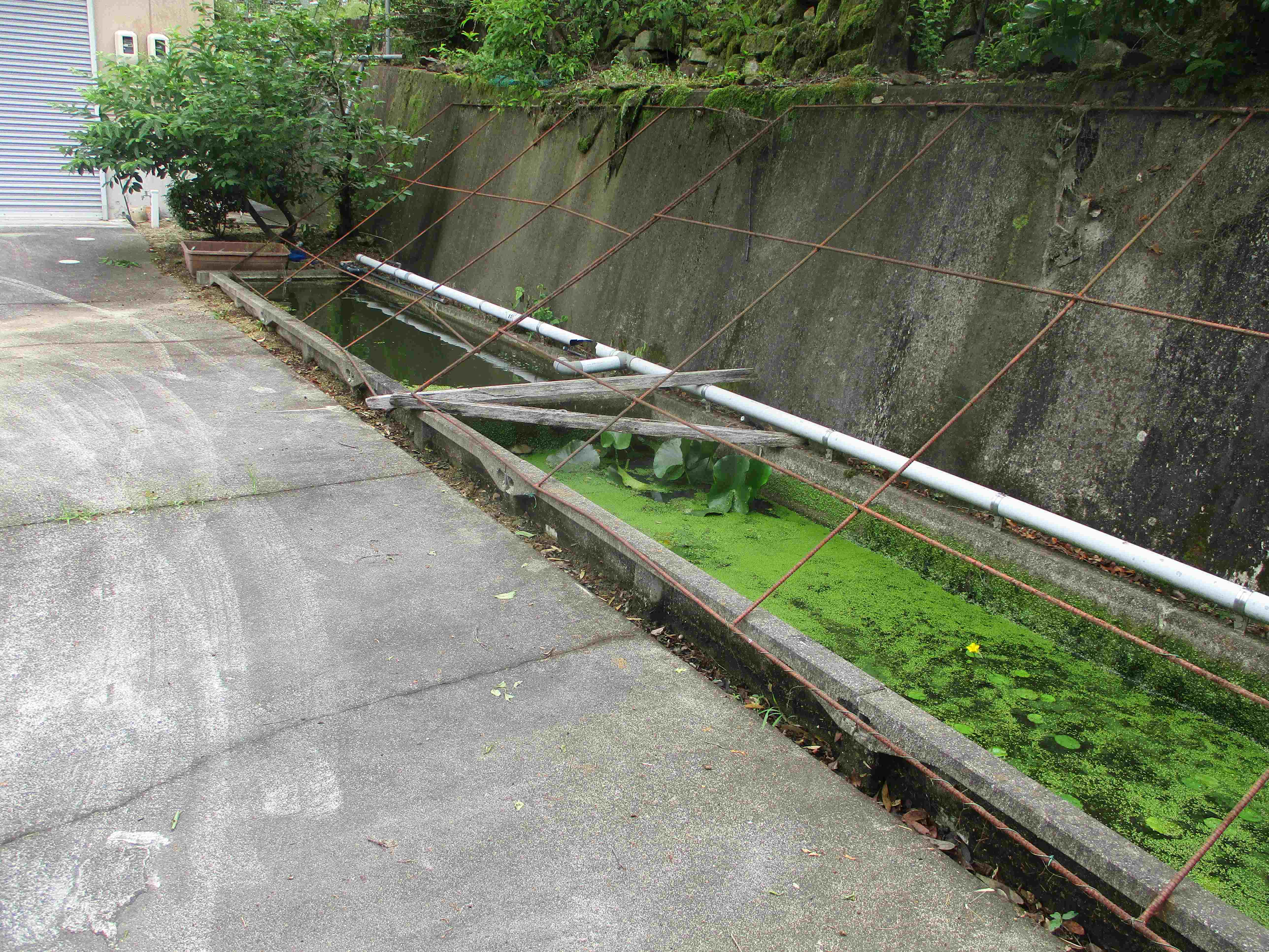 池を埋めて駐車場を広げる外構工事